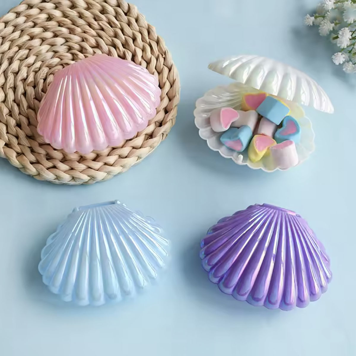 5pcs Shell Candy Gift Box Plas - đánh giá và giá Wedding Favor Box